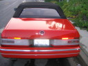 112_1245t.JPG