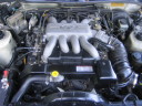 112_1288t.JPG